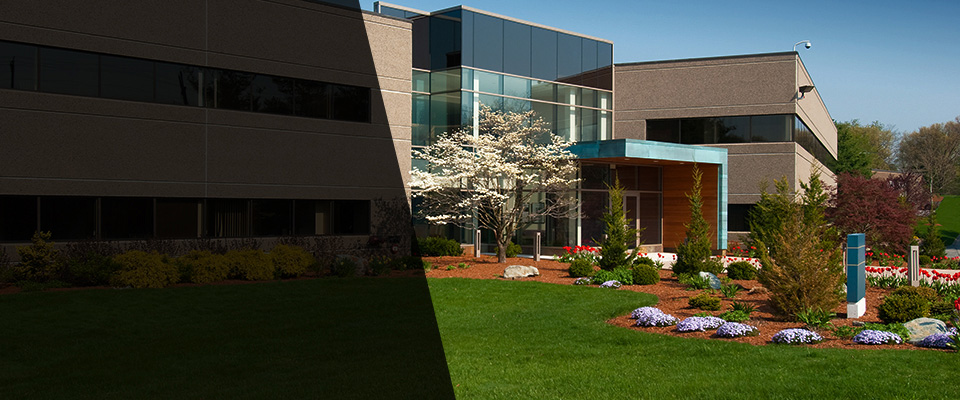 Marina Del Rey Landscapers